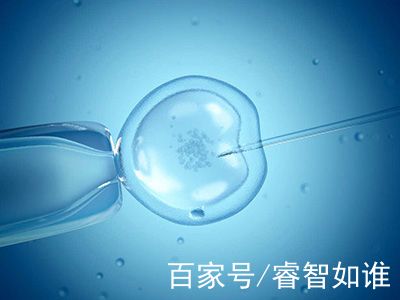 关于孕妈试管咨询服务代生儿子